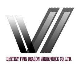 Destiny Twin Dragon Workforce Co. Ltd.